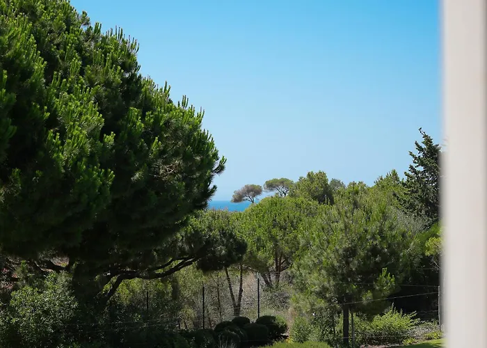 Apartment Belharucas, 400 Meters From *