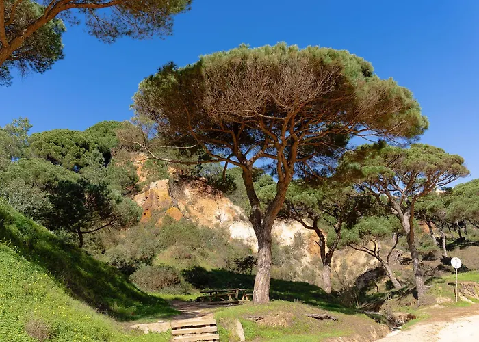 Belharucas, 400 Meters From Apartment Albufeira
