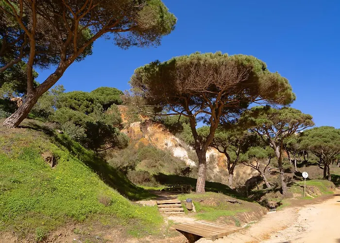 Belharucas, 400 Meters From Apartament Albufeira
