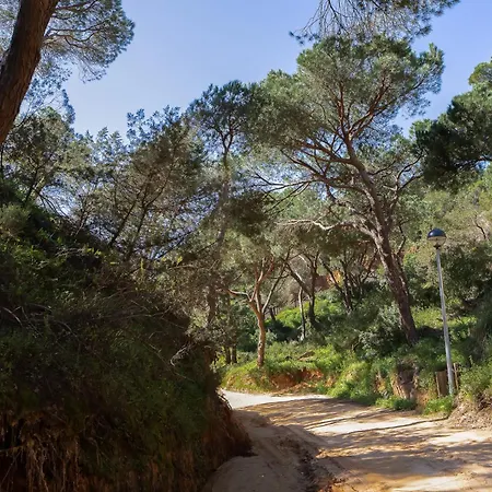Belharucas, 400 Meters From Διαμέρισμα Αλμπουφέιρα