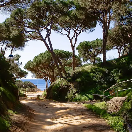Belharucas, 400 Meters From Apartmán Albufeira