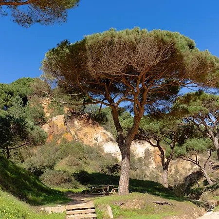 Belharucas, 400 Meters From Apartmán Albufeira